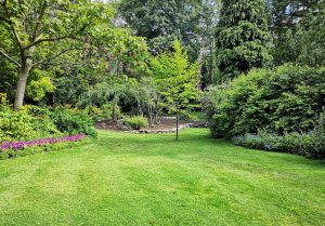 Optimiser l'expérience du jardin à Montagny-Sainte-Félicité
